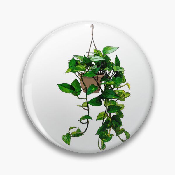 Item preview, Hanging Pothos designed and sold by geraldreida.