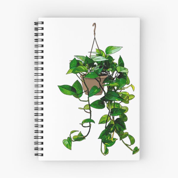Item preview, Hanging Pothos designed and sold by geraldreida.