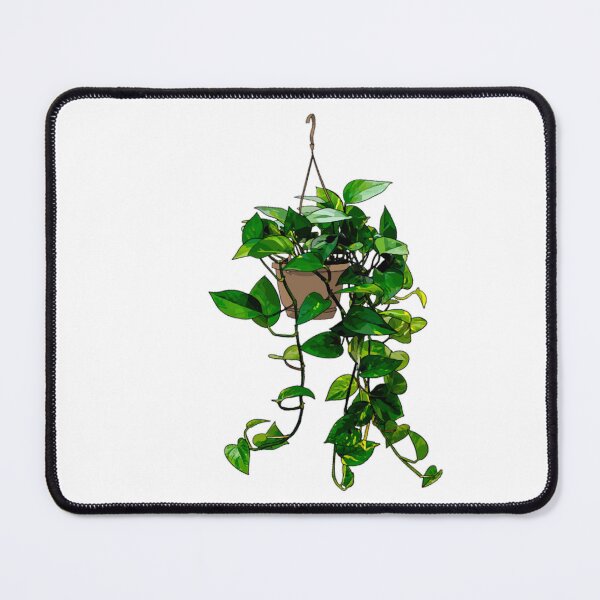 Item preview, Hanging Pothos designed and sold by geraldreida.