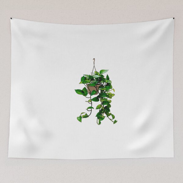 Item preview, Hanging Pothos designed and sold by geraldreida.