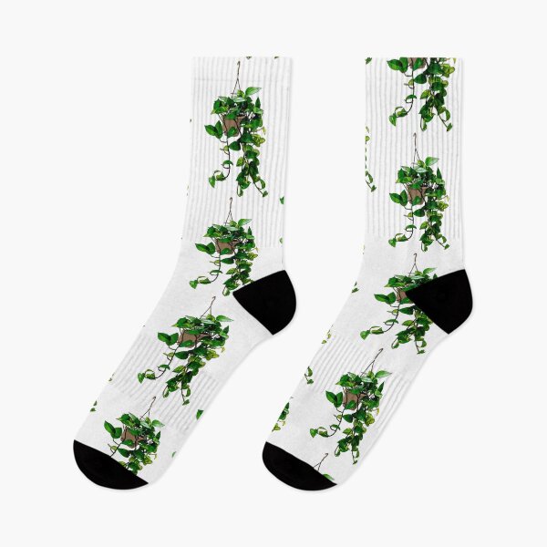 Item preview, Hanging Pothos designed and sold by geraldreida.