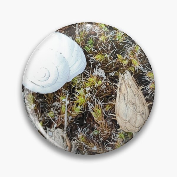 Item preview, Maritime still life designed and sold by itkacreations.