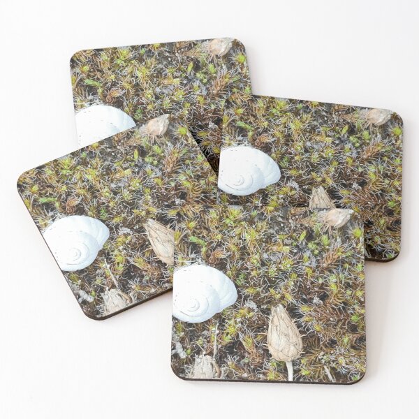 Item preview, Maritime still life designed and sold by itkacreations.