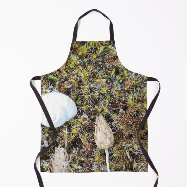 Item preview, Maritime still life designed and sold by itkacreations.