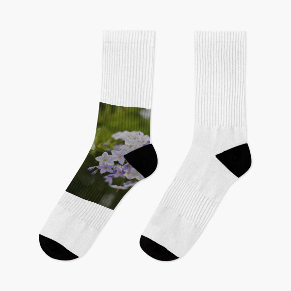 Item preview, A potatoe vine, and pretty lilac flowers, photographed with bokeh designed and sold by JessicaKeegan.