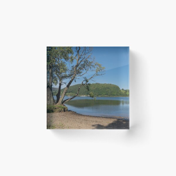 Item preview, A tree on the shoreline of Ullswater designed and sold by HAPhotography.