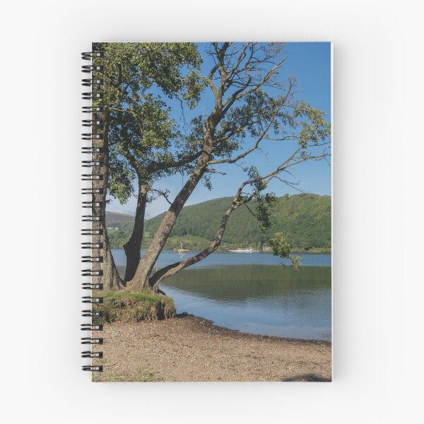 Item preview, A tree on the shoreline of Ullswater designed and sold by HAPhotography.