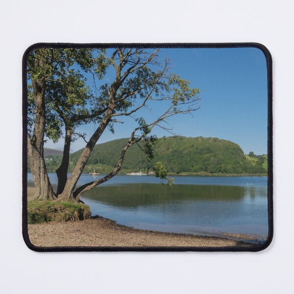 Item preview, A tree on the shoreline of Ullswater designed and sold by HAPhotography.