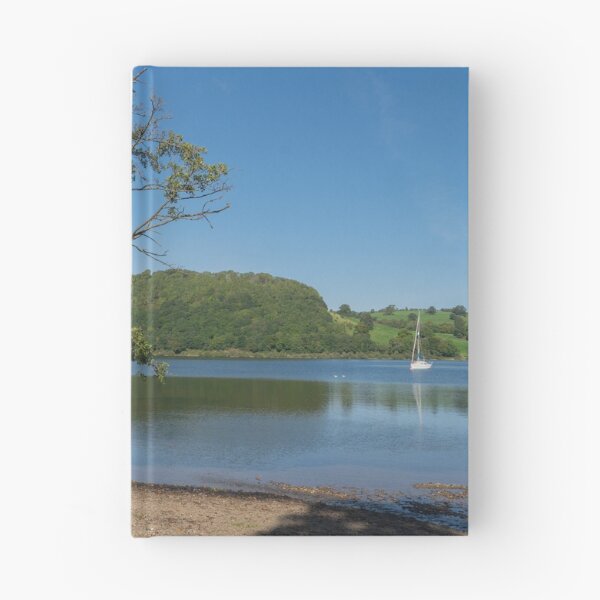 Item preview, A tree on the shoreline of Ullswater designed and sold by HAPhotography.