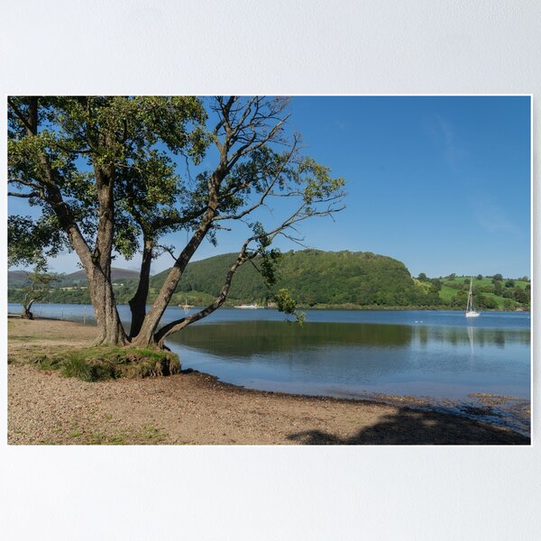 Item preview, A tree on the shoreline of Ullswater designed and sold by HAPhotography.