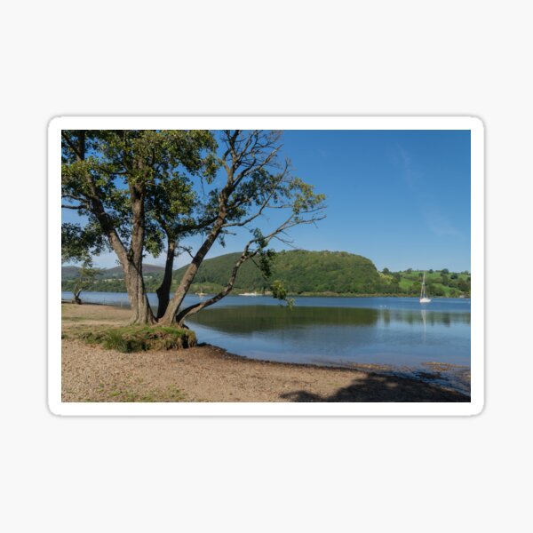Item preview, A tree on the shoreline of Ullswater designed and sold by HAPhotography.
