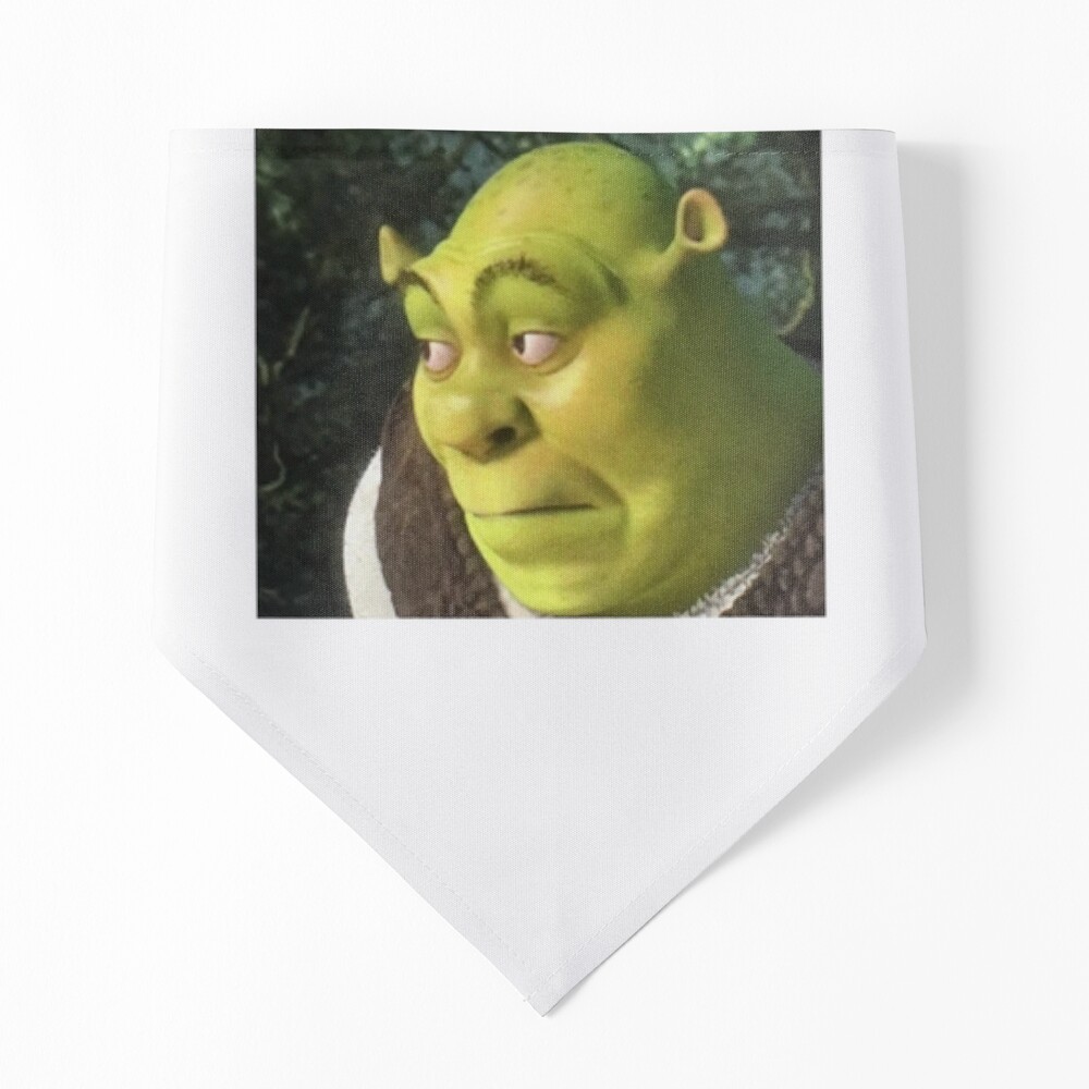 Shrek meme Classic Poster for Sale by aramilodabirl