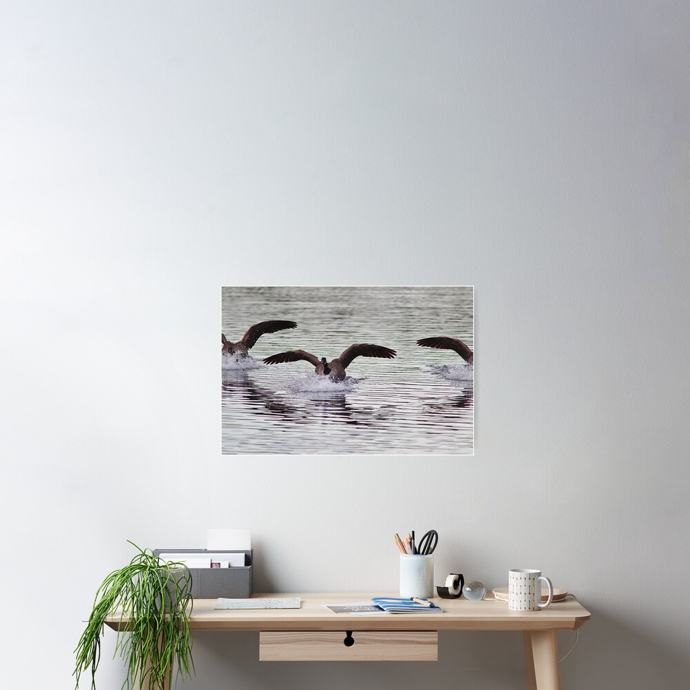 Item preview, Poster designed and sold by backyardwonders.