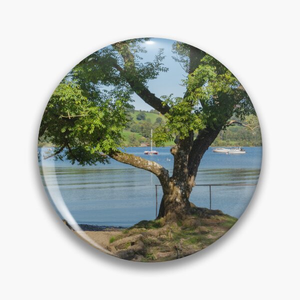 Item preview, A tree with exposed roots on the shoreline of Ullswater, Cumbria, UK designed and sold by HAPhotography.