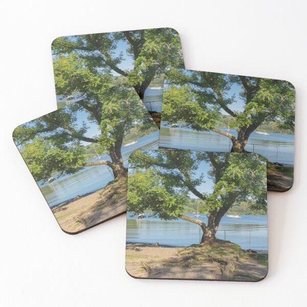 Item preview, A tree with exposed roots on the shoreline of Ullswater, Cumbria, UK designed and sold by HAPhotography.