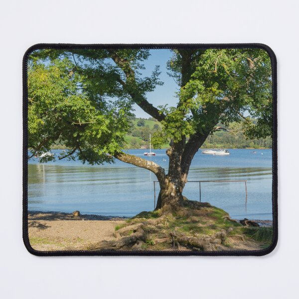 Item preview, A tree with exposed roots on the shoreline of Ullswater, Cumbria, UK designed and sold by HAPhotography.