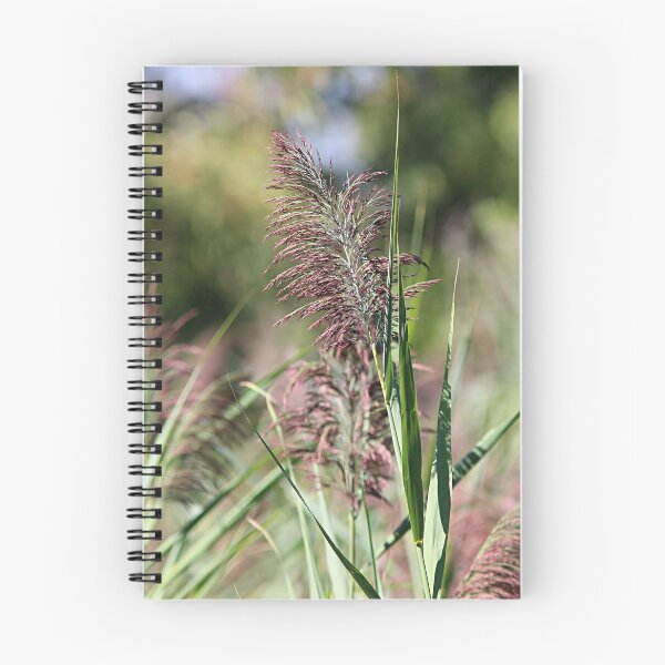 Item preview, Common reed in the marsh designed and sold by Linda Crockett.