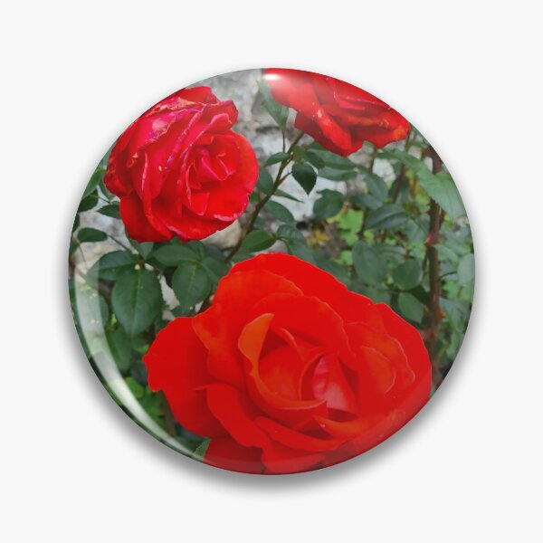 Aperçu de l'œuvre Roses rouges créée et vendue par RobbMcC.