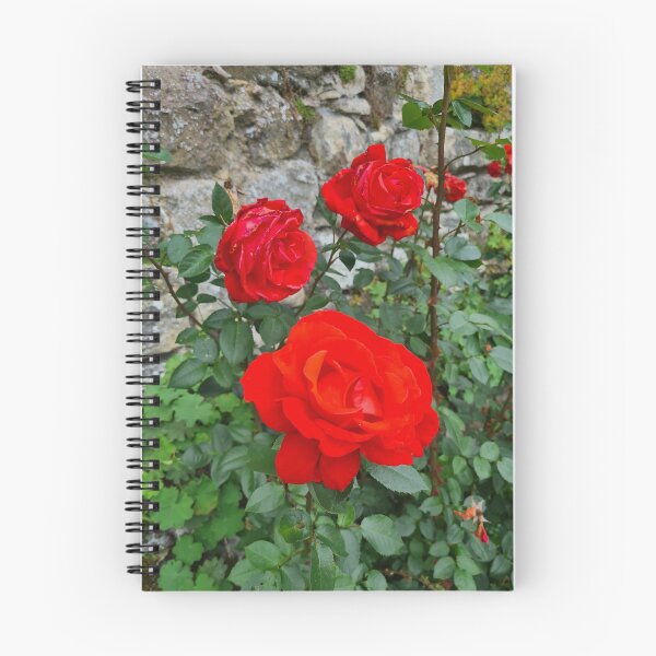 Item preview, Red Roses designed and sold by RobbMcC.