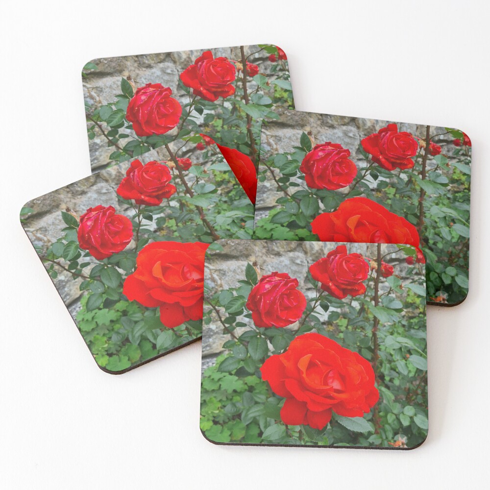 Item preview, Coasters (Set of 4) designed and sold by RobbMcC.