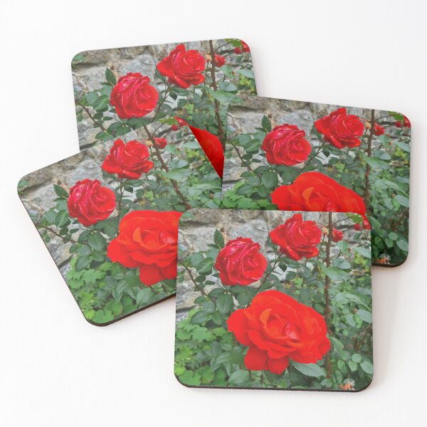 Item preview, Red Roses designed and sold by RobbMcC.