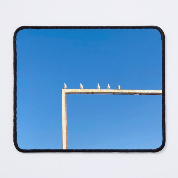 Item preview, Seagulls sit on a pipe designed and sold by taya-stdnk.