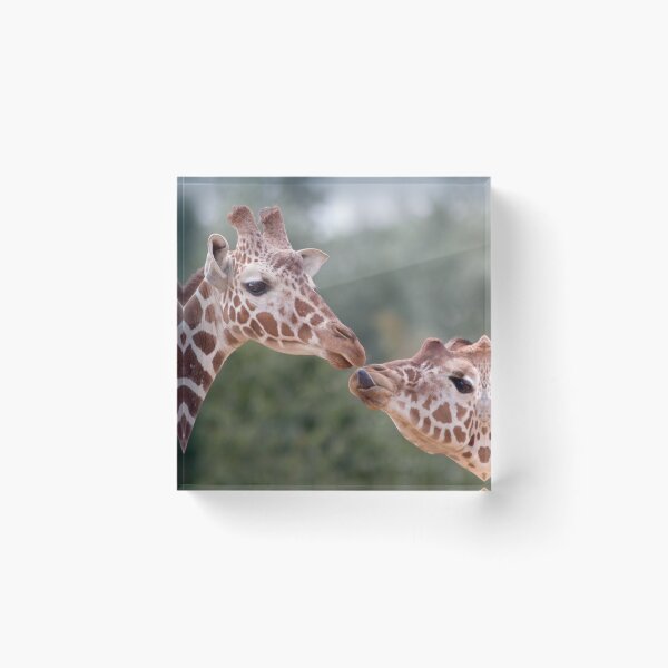Item preview, Pucker Up! (Giraffes) designed and sold by Krys Bailey.
