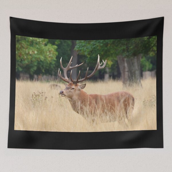 Item preview, Red Deer Stag designed and sold by LeanneAllen.