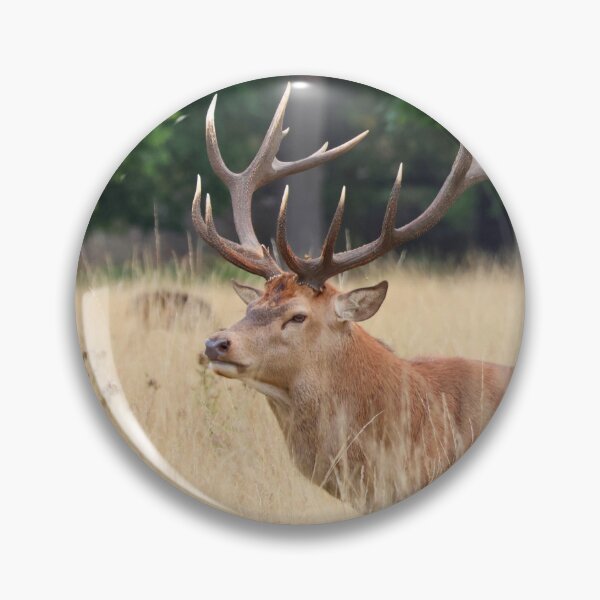 Item preview, Red Deer Stag designed and sold by LeanneAllen.