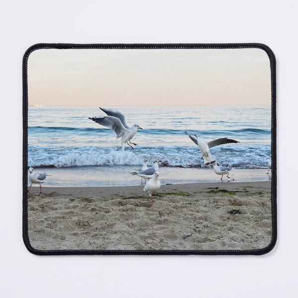 Item preview, Seagulls sit on the beach designed and sold by taya-stdnk.