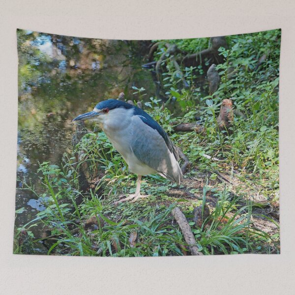 Item preview, Black Crowned Night Heron 275 designed and sold by Strawflower Oasis.