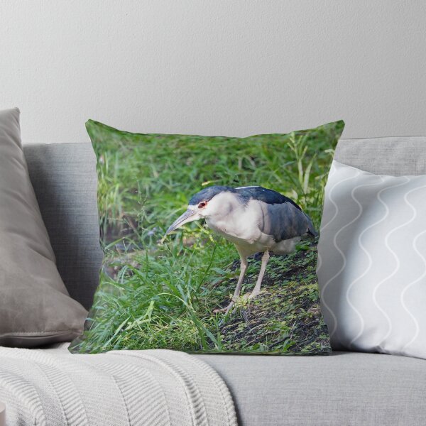 Item preview, Black Crowned Night Heron 276 designed and sold by Strawflower Oasis.