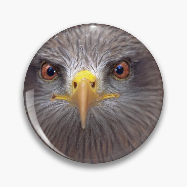 Item preview, High as a Kite designed and sold by Krys Bailey.