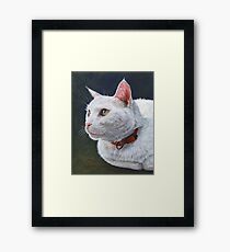Shiro Framed Print