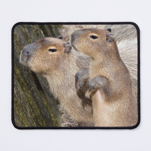 Item preview, Cute Capys designed and sold by Krys Bailey.