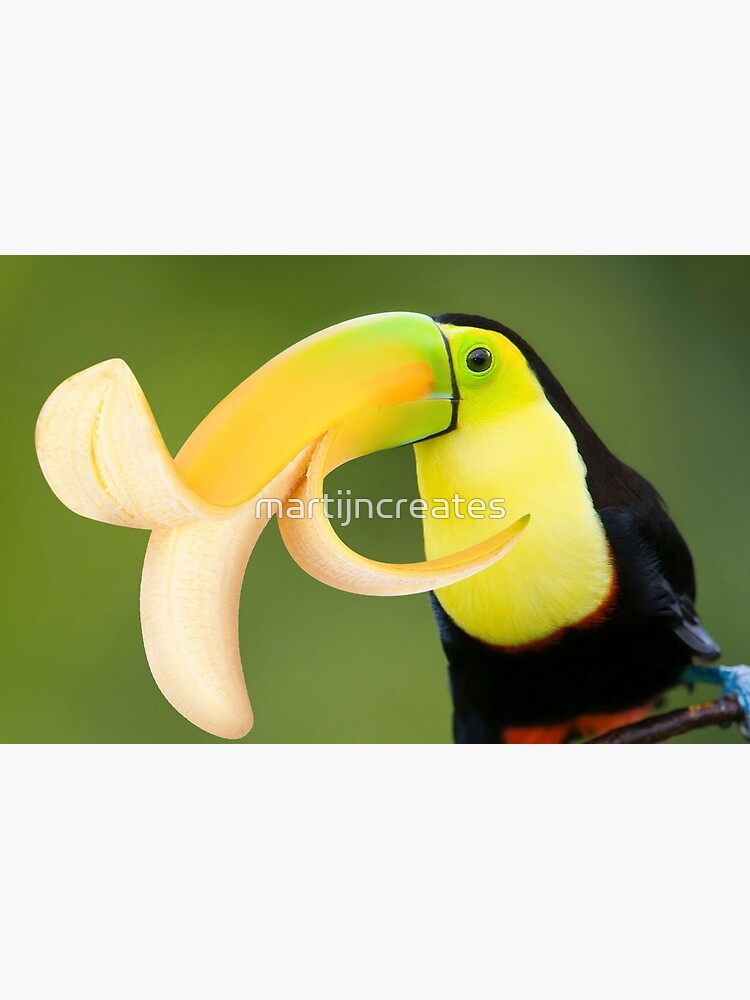 Toucan Bath Mat – Coming Soon