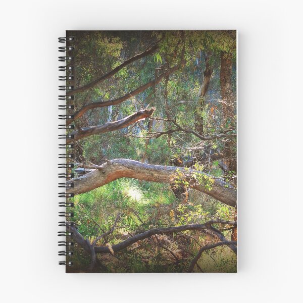 Item preview, Sunlit Moments designed and sold by Lorraine McCarthy.