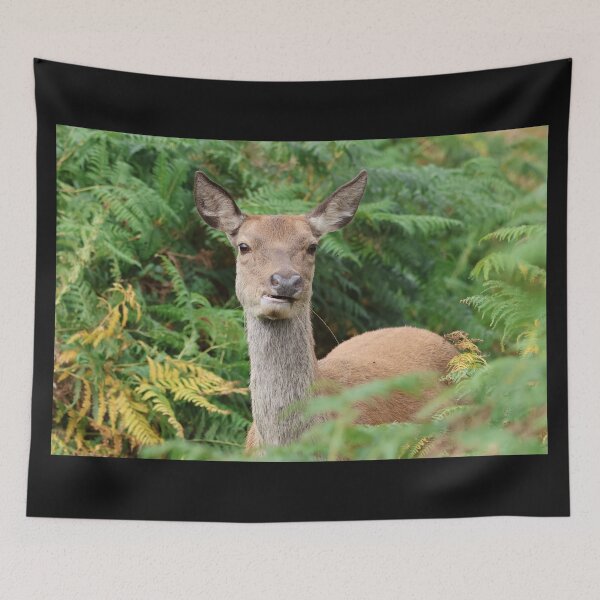 Item preview, Red Deer designed and sold by LeanneAllen.