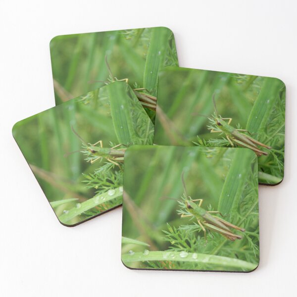 Item preview, Dew-Kissed Grasshopper designed and sold by outtheboxangles.