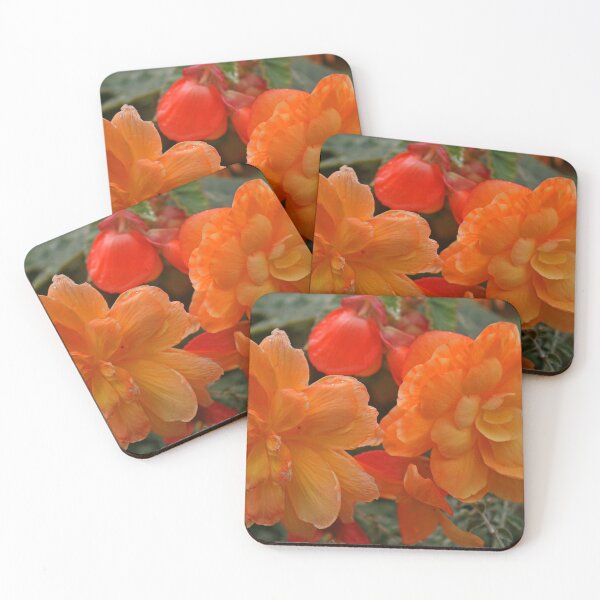 Item preview, Orange Begonia, September 2023 designed and sold by RedHillDigital.