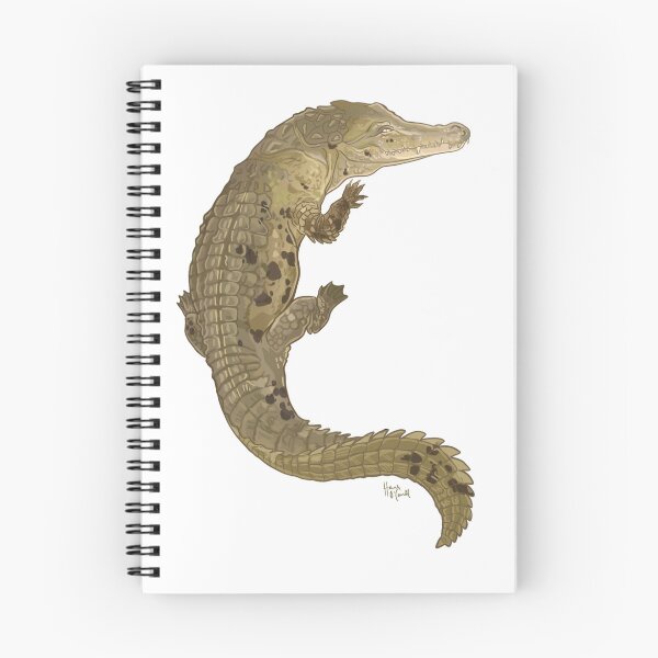 Item preview, American Crocodile designed and sold by Scrub and Sea.