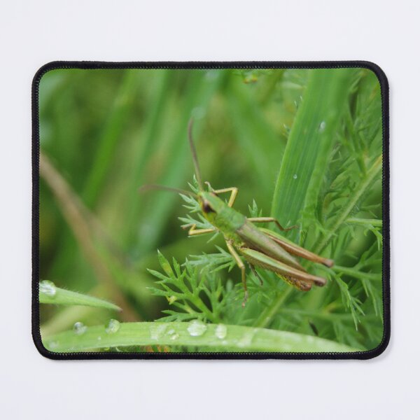 Item preview, Dew-Kissed Grasshopper designed and sold by outtheboxangles.