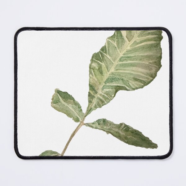 Item preview, Hickory Tree designed and sold by beckytarbox.
