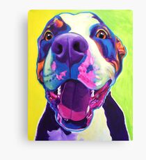 Happy Pit Bull - Smiling Colorful Pitbull Dog Canvas Print