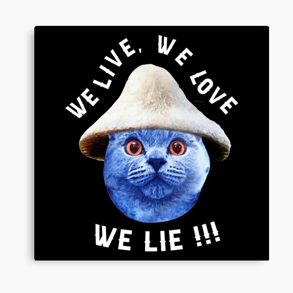 Smurf Cat EXPLAINED! (We Live We Love We Lie Cat) 