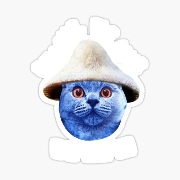 Blue Cat Smurf: What is the шайлушай Trend on TikTok?