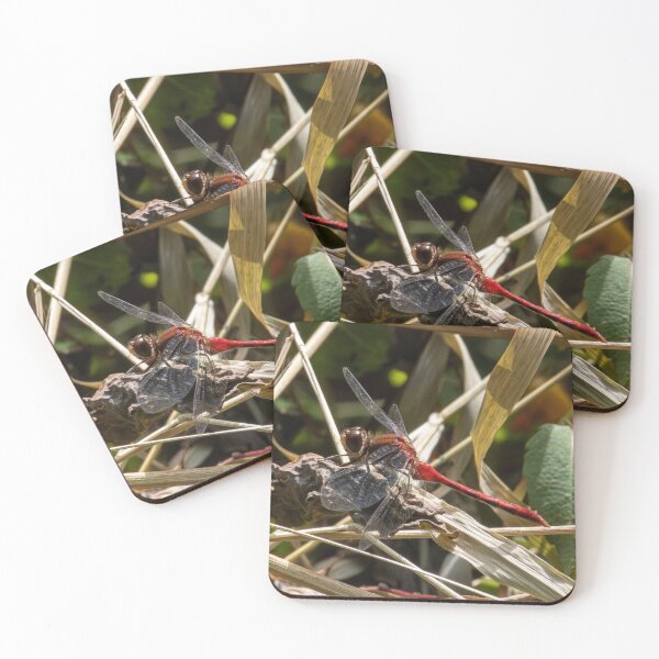 Item preview, The Rest Stop designed and sold by Tim Dusenberry.