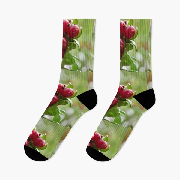 Item preview, There are plenty. Lingonberry designed and sold by Jouko Lehto Photography.