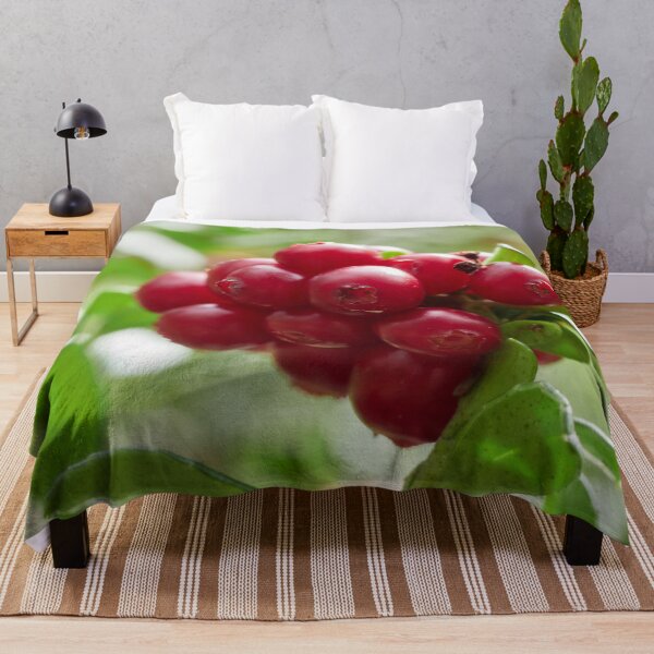 Item preview, There are plenty. Lingonberry designed and sold by Jouko Lehto Photography.