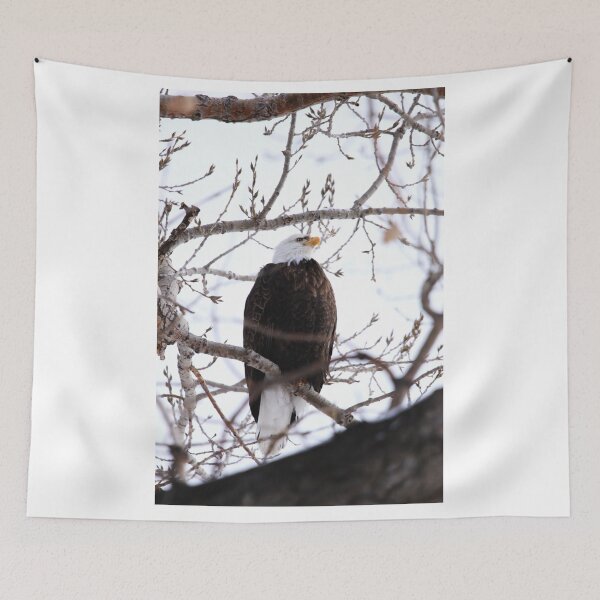 Item preview, Proud designed and sold by Alyce Taylor.